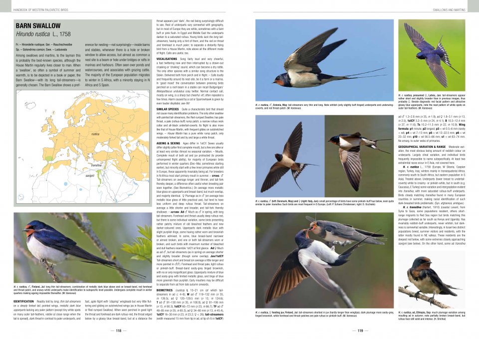 HANDBOOK OF WESTERN PALEARCTIC BIRDS. PASSERINES 4