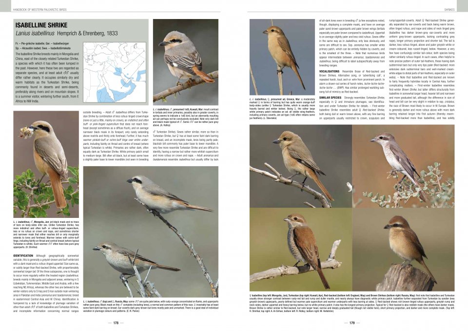 HANDBOOK OF WESTERN PALEARCTIC BIRDS. PASSERINES 5