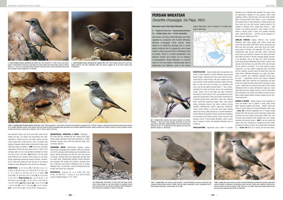 HANDBOOK OF WESTERN PALEARCTIC BIRDS. PASSERINES 7