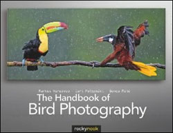 THE HANDBOOK OF BIRD PHOTOGRAPHY 1