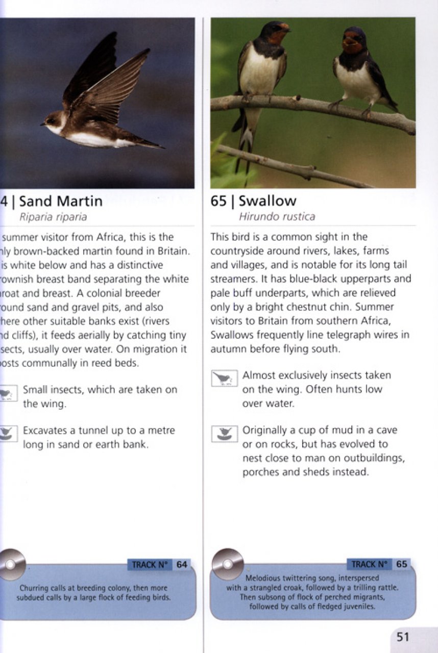 WETLAND BIRDS SONGS & CALLS 3
