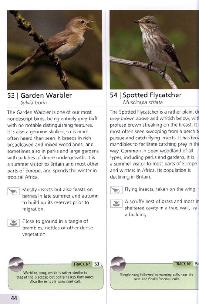 WOODLAND BIRD SONGS & CALLS 3