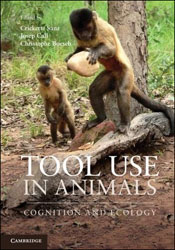TOOL USE IN ANIMALS. COGNITION AND ECOLOGY