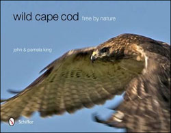 WILD CAPE COD. FREE BY NATURE 1