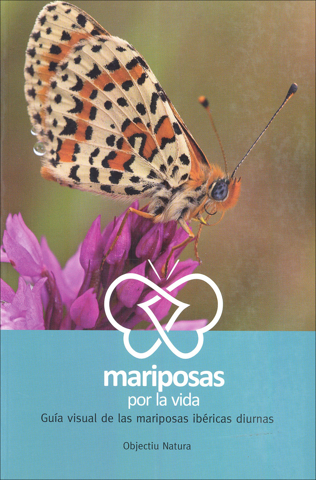 MARIPOSAS POR LA VIDA. GUÍA VISUAL DE LAS MARIPOSAS IBÉRICAS DIURNAS