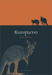 KANGAROO 1