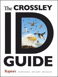 THE CROSSLEY ID GUIDE. RAPTORS 1