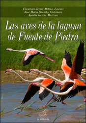 LAS AVES DE LA LAGUNA DE FUENTE DE PIEDRA 1