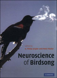 NEUROSCIENCE OF BIRDSONG