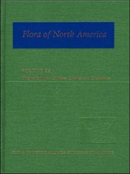 FLORA OF NORTH AMERICA. VOL. 26. MAGNOLIOPHYTA: MAGNOLIOPHYTA: LILIIDAE: LILIALES AND ORCHIDALES 1