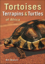 TORTOISES, TERRAPINS AND TURTLES OF AFRICA 1