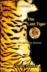THE LAST TIGER. STRUGGLING FOR SURVIVAL 1
