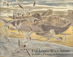 THE LONG, WILD SHORE. BIRD AND SEAL SEASONS ON BLAKENEY POINT 1