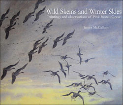 WILD SKEINS AND WINTER SKIES 1