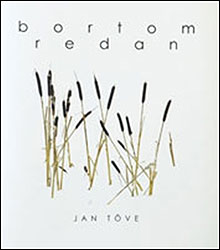 BORTOM REDAN 1