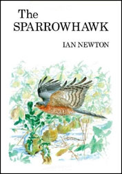 THE SPARROWHAWK 1