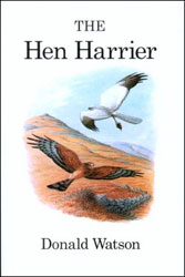 THE HEN HARRIER 1