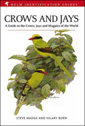 HELM IDENTIFICATION GUIDES. CROWS AND JAYS.  A GUIDE TO THE CROWS, JAYS AND MAGPIES OF THE WORLD 1