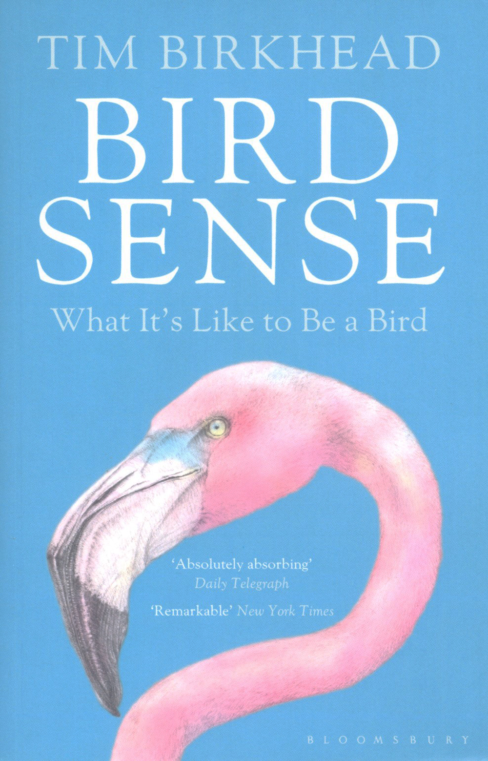 BIRD SENSE. WHAT IT IS LIKE TO BE A BIRD