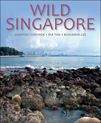 WILD SINGAPORE 1