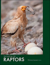 THE BOOK OF RAPTORS 1