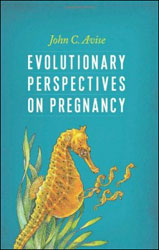 EVOLUTIONARY PERSPECTIVES ON PREGNANCY 1