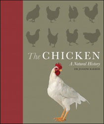 THE CHICKEN. A NATURAL HISTORY 1