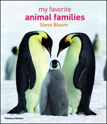 MY FAVOURITE ANIMAL FAMILIES 1