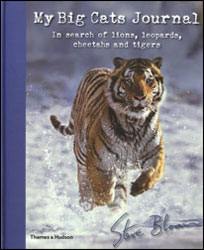 MY BIG CATS JOURNAL 1