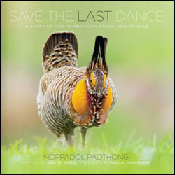 SAVE THE LAST DANCE 1