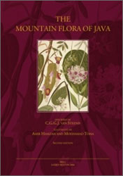 MOUNTAIN FLORA OF JAVA. 1