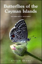 BUTTERFLIES OF THE CAYMAN ISLANDS 1
