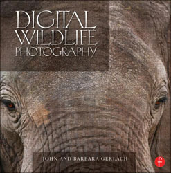 DIGITAL WILDLIFE PHOTOGRAPHY 1