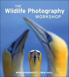 THE WILDLIFE PHOTOGRAPHY WORKSHOP 1