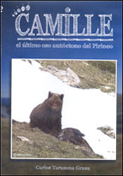 CAMILLE. EL ÚLTIMO OSO AUTÓCTONO DEL PIRINEO 2