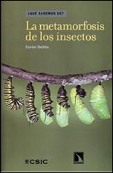 LA METAMORFOSIS DE LOS INSECTOS ¿CÓMO SE TRANSFORMA UNA ORUGA EN MARIPOSA? 1