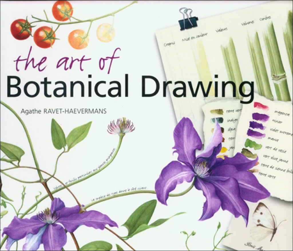 THE ART OF BOTANICAL DRAWING 1