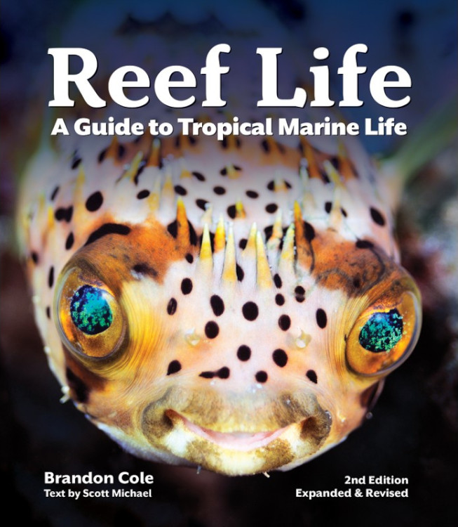 REEF LIFE. A GUIDE TO TROPICAL MARINE LIFE 1