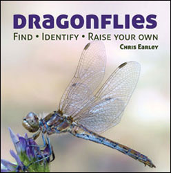 DRAGONFLIES. CATCHING. IDENTIFYING. HOW AND WHERE THEY LIVE 1