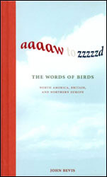 AAAAW TO ZZZZZD. THE WORDS OF BIRDS 1