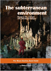 THE SUBTERRANEAN ENVIRONMENT. HYPOGEAN LIFE, CONCEPTS AND COLLECTING TECHNIQUES 1