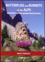 BUTTERFLIES AND BURNETS OF THE ALPS AND THEIR LARVAE, PUPAE AND COCOONS 1