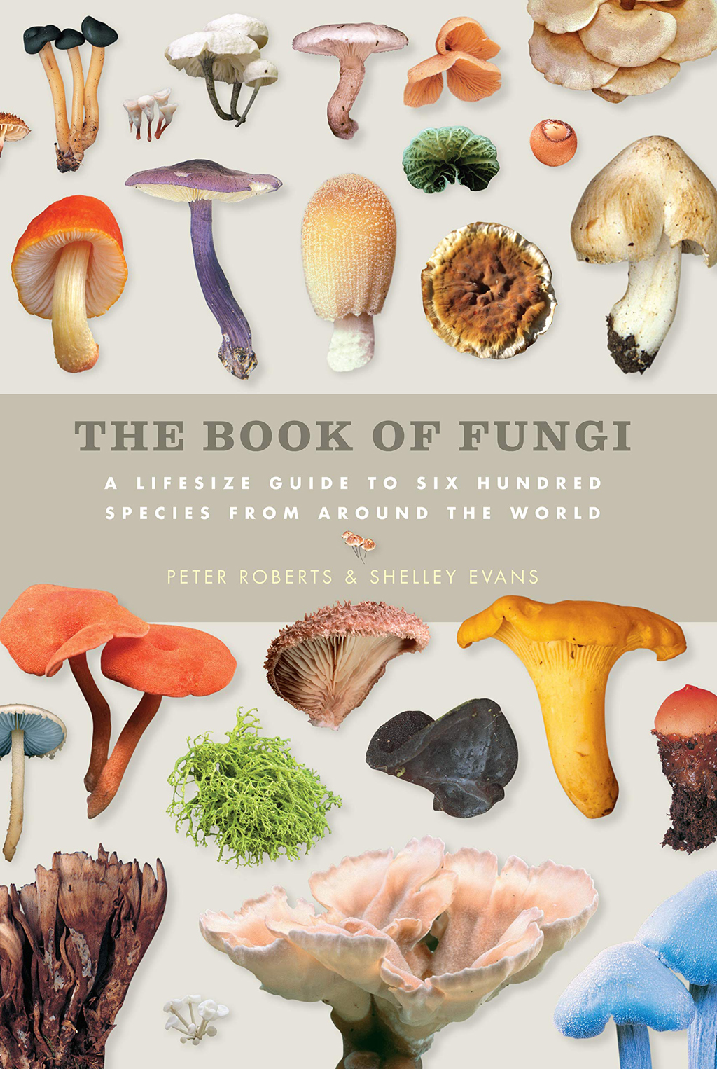 THE BOOK OF FUNGI. A LIFE -SIZE GUIDE TO SIX HUNDRED SPECIES FROM AROUND THE WORLD 1
