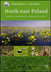 CROSSBILL GUIDES. NORTH-EAST POLAND 1