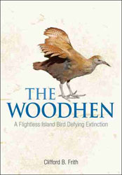 THE WOODHEN. A FLIGHTLESS ISLAND BIRD DEFYING EXTINCTION 1