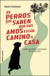 DE PERROS QUE SABEN QUE SUS DUEÑOS ESTÁN CAMINO DE CASA 2