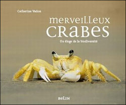 MERVEILLEUX CRABES 1