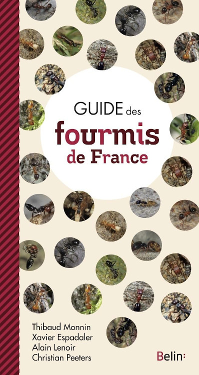 GUIDE DES FOURMIS DE FRANCE