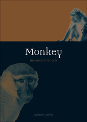 MONKEY 1