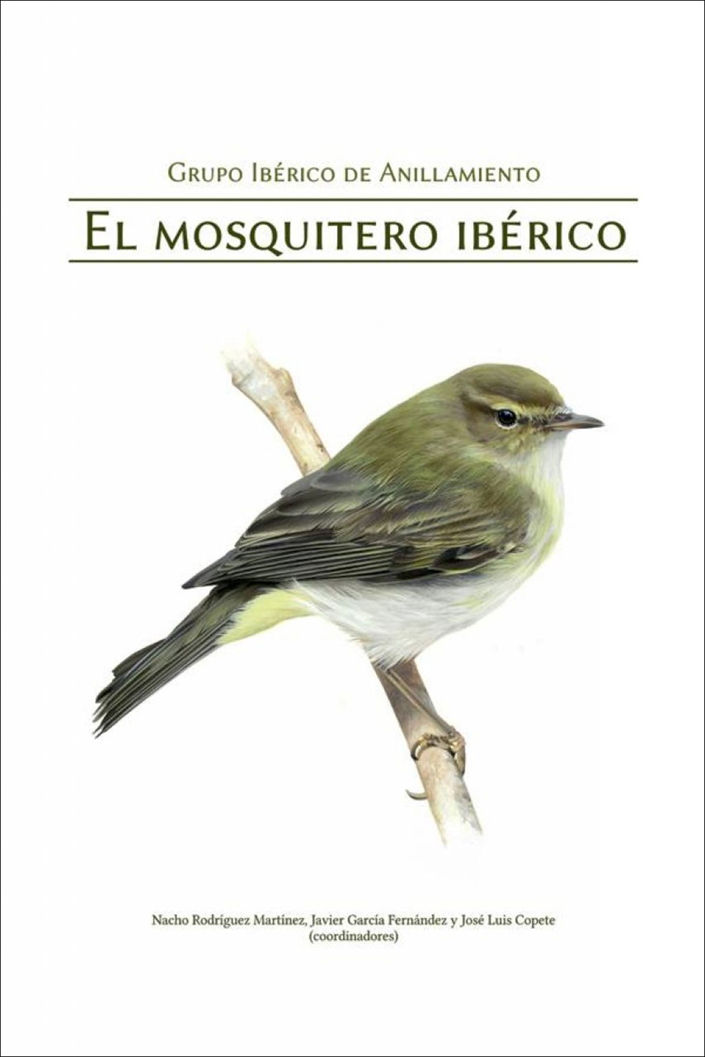 EL MOSQUITERO IBÉRICO 1